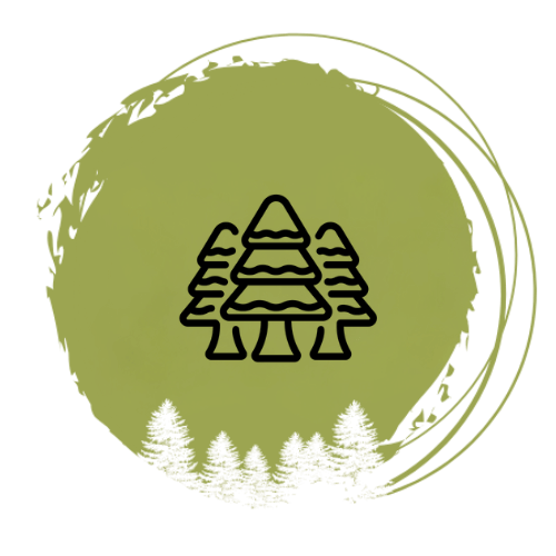 Icon mit stilisierten Bäumen – Symbol für Natur & Waldbaden