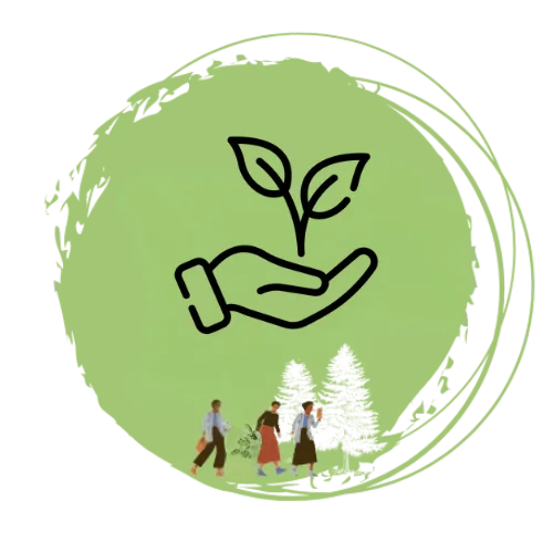 Symbol Hände mit Pflanze – achtsame Begleitung in der Natur